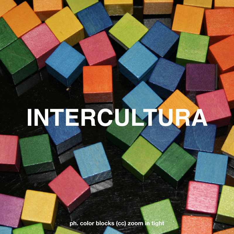 Intercultura