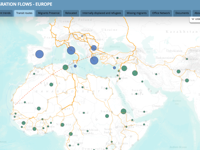 Global migrations flows